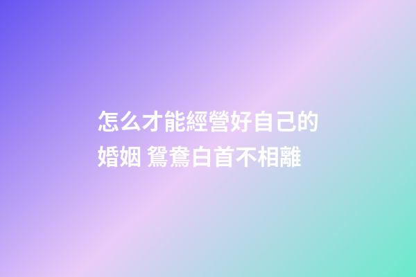 怎么才能經營好自己的婚姻 鴛鴦白首不相離